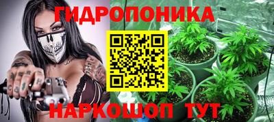 шишки Краснокаменск