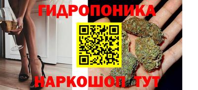 шишки Краснокаменск